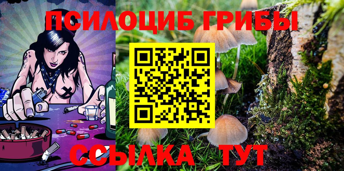 наркота  Галлюциногенные грибы GOLDEN TEACHER  Вход с VPN  Назрань 